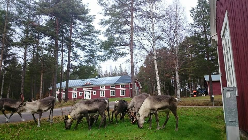 Svanstein Lodge Экстерьер фото